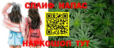 дмт Нальчик