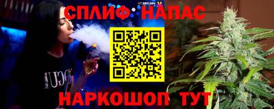 дмт Нальчик