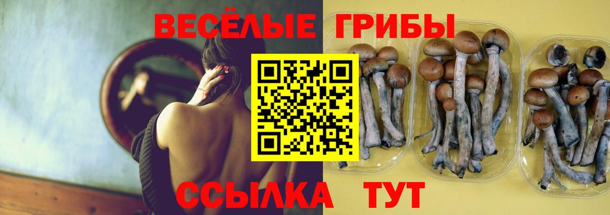 Псилоцибиновые грибы Magic Shrooms  Псилоцибиновые грибы Magic Shrooms  хочу наркоту  Учалы  Вход с VPN 